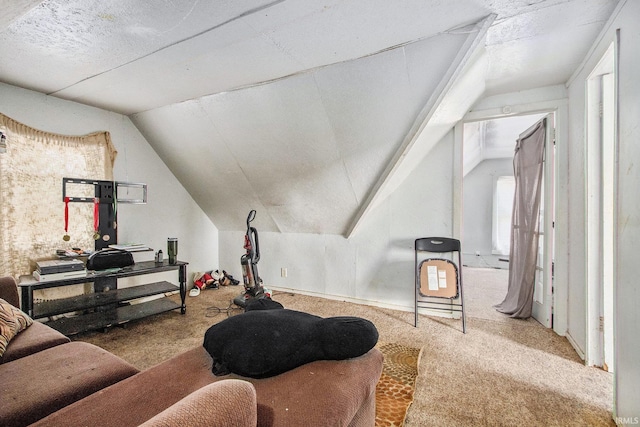 517 S Kaley St, South Bend, IN 46619 - bonus room featuring vaulted ceiling and carpet floors
