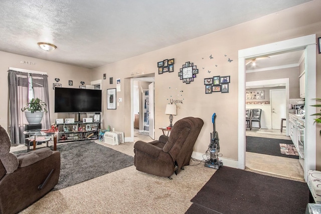 517 S Kaley St, South Bend, IN 46619 - carpeted living area with baseboards
