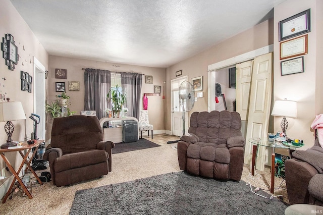517 S Kaley St, South Bend, IN 46619 - view of carpeted living room