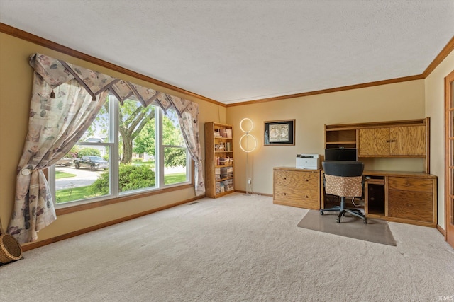 51769 S Saddle Ridge Ln, Granger, IN 46530 - office space featuring crown molding, carpet floors, and a textured ceiling