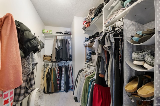 9628 Trading Post Rd, Leo, IN 46765 - walk in closet featuring carpet flooring