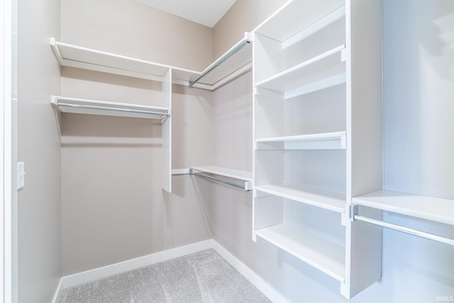 7751 Luna Way, Fort Wayne, IN 46835 - walk in closet featuring carpet