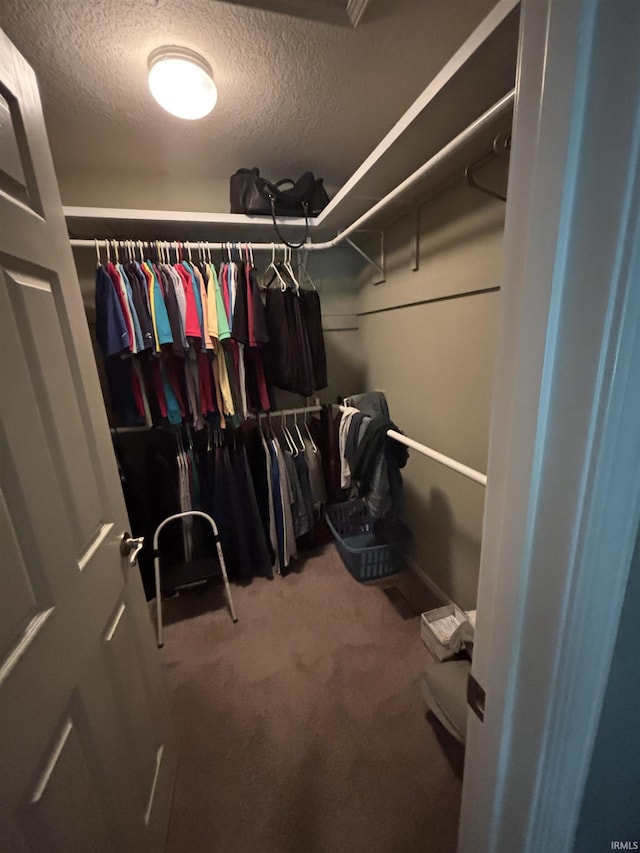 6933 Cleopatra Xing, Fort Wayne, IN 46818 - spacious closet featuring carpet flooring