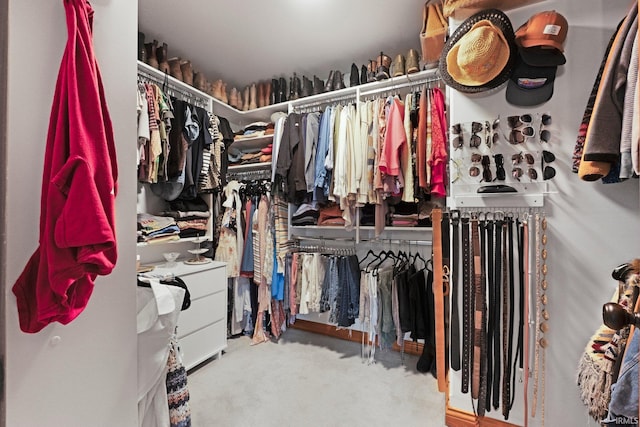 16619 Amethyst Pkwy, Fort Wayne, IN 46845 - spacious closet with carpet floors