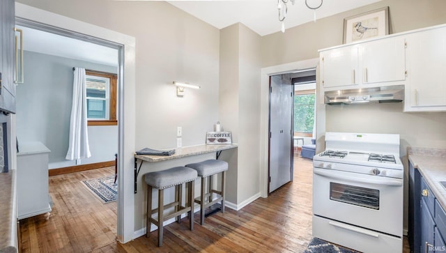 1607 Franklin Ave, Fort Wayne, IN 46808 - kitchen with gas range gas stove, under cabinet range hood, light wood-style flooring, white cabinetry, and light countertops