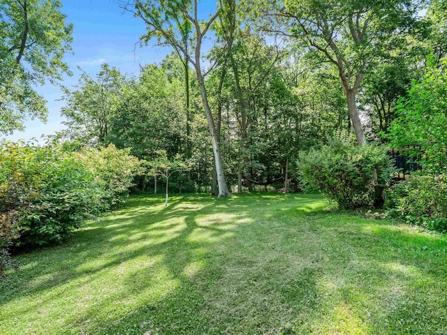 8220 Sakaden Pkwy, Fort Wayne, IN 46825 - view of grassy yard