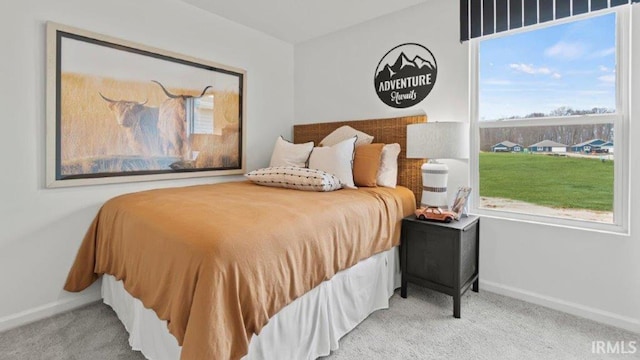 1217 Catesby Ct, Fort Wayne, IN 46818 - bedroom with carpet flooring