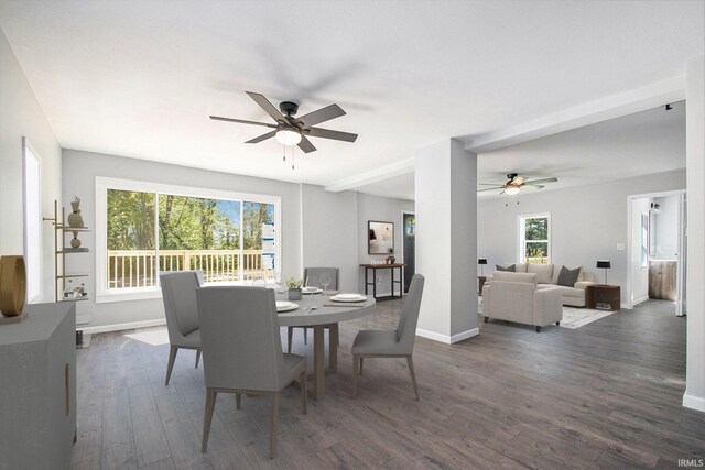 10059 Jefferson Rd, Osceola, IN 46561 - dining space with ceiling fan and wood finished floors