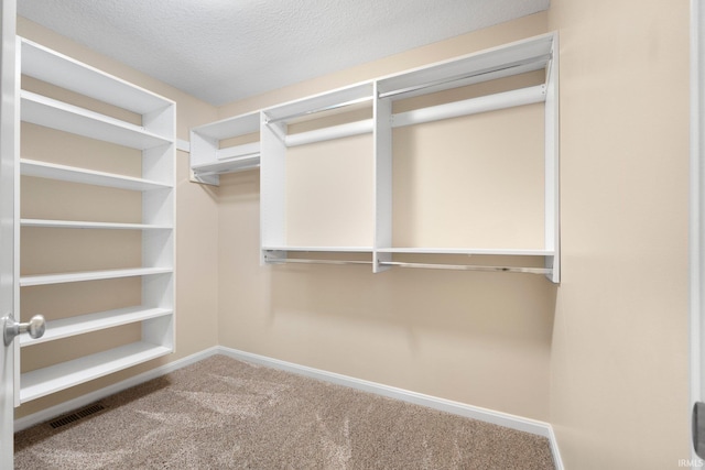 12828 Palazzo Blvd, Fort Wayne, IN 46845 - walk in closet with carpet floors