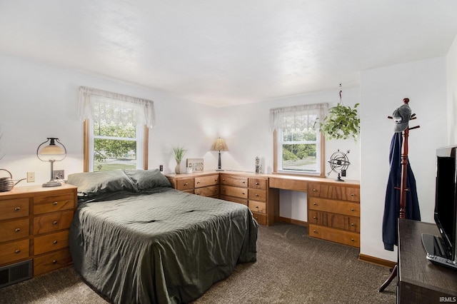 825 W Catalpa Dr, Mishawaka, IN 46545 - bedroom featuring dark colored carpet and multiple windows
