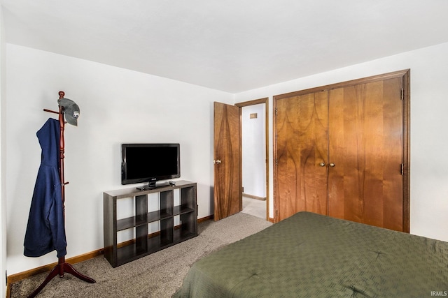 825 W Catalpa Dr, Mishawaka, IN 46545 - bedroom with carpet floors and a closet
