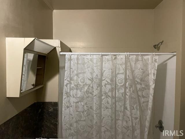 436 W Williams St, Fort Wayne, IN 46802 - bathroom with a shower with curtain