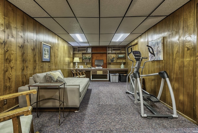 420 E Cedar Canyons Rd, Huntertown, IN 46748 - exercise room featuring carpet flooring, wood walls, and a paneled ceiling