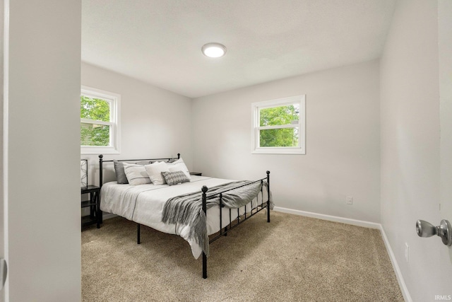 5116 Rebecca St, Fort Wayne, IN 46835 - bedroom featuring multiple windows and light carpet