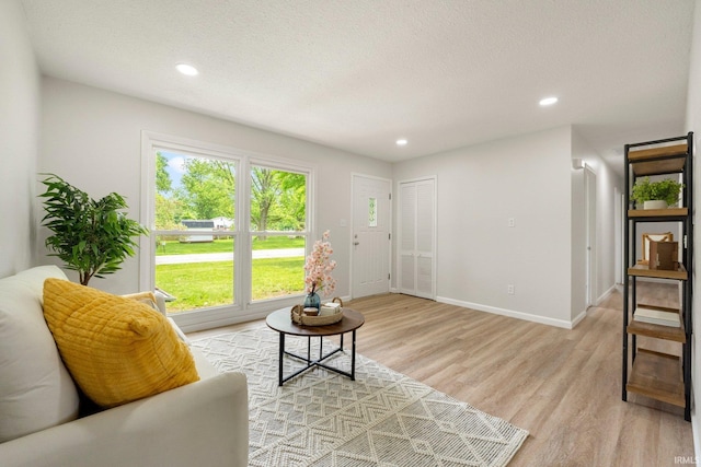 5116 Rebecca St, Fort Wayne, IN 46835 - living room featuring light wood finished floors, recessed lighting, and a textured ceiling