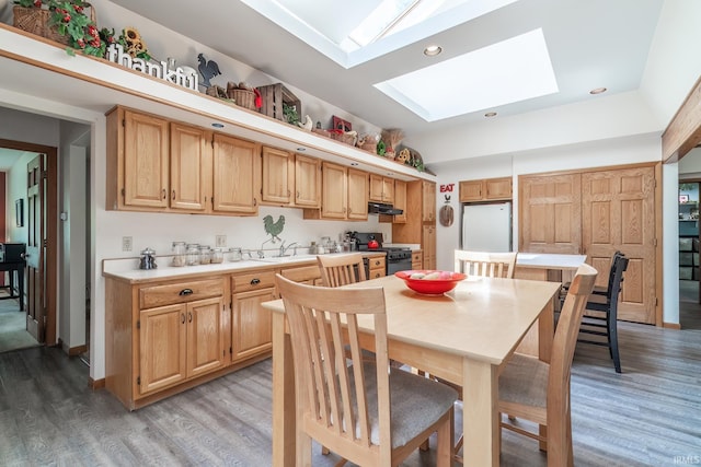 3836 W State Blvd, Fort Wayne, IN 46808 - dining room with a skylight, light wood-style floors, and recessed lighting