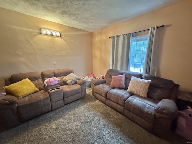 808 19th St, Logansport, IN 46947 - living area featuring a textured ceiling and carpet flooring