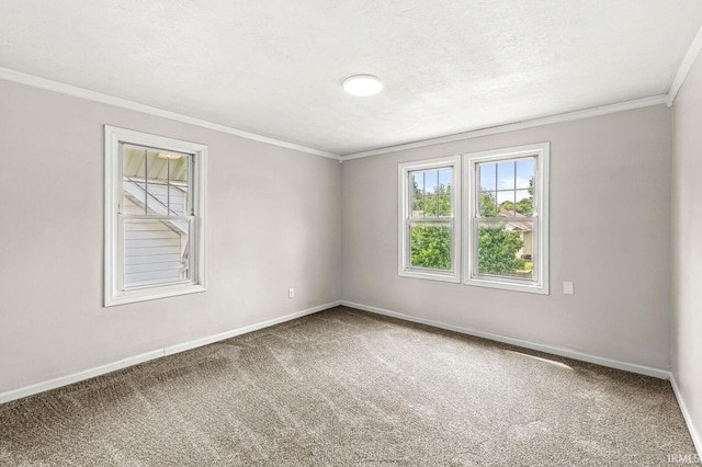 533 Altgeld St, South Bend, IN 46614 - unfurnished room with carpet floors and ornamental molding