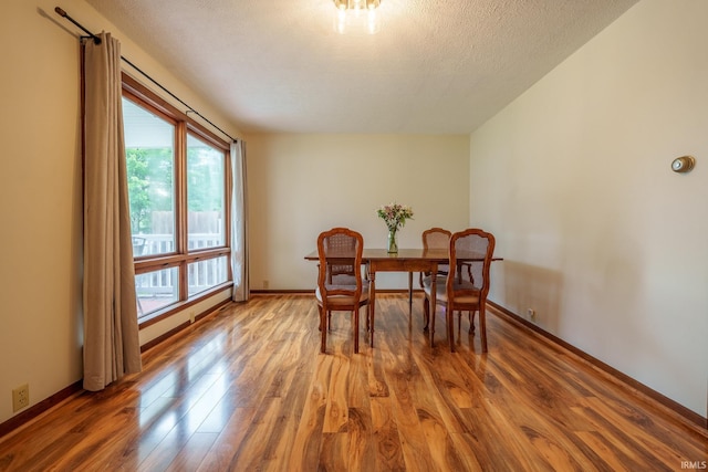 1712 Royal Center Pike, Logansport, IN 46947 - dining space with light wood-style floors and a textured ceiling