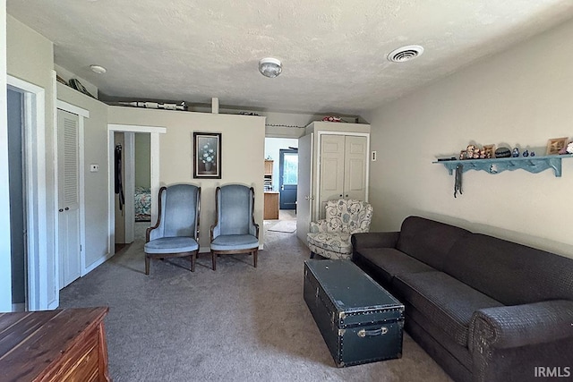 68615 County Road 23, New Paris, IN 46553 - living room with carpet floors and a textured ceiling