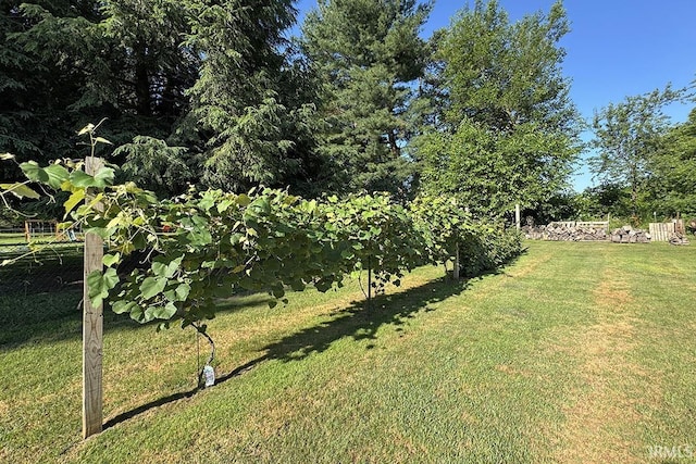 68615 County Road 23, New Paris, IN 46553 - view of grassy yard