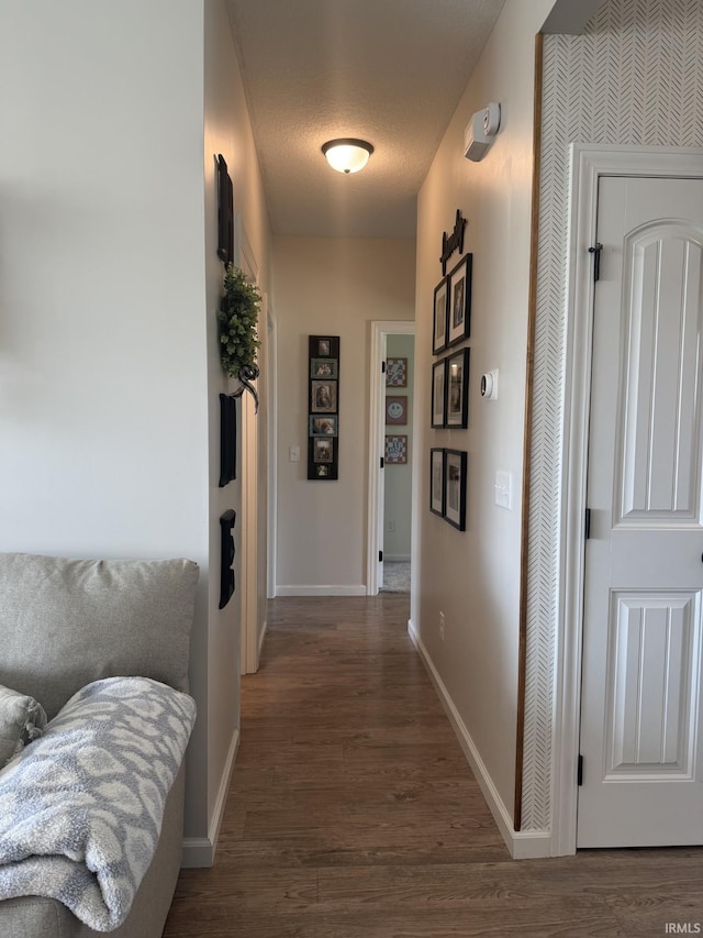 12788 Kingfish Ct, Middlebury, IN 46540 - hallway with wood finished floors and baseboards