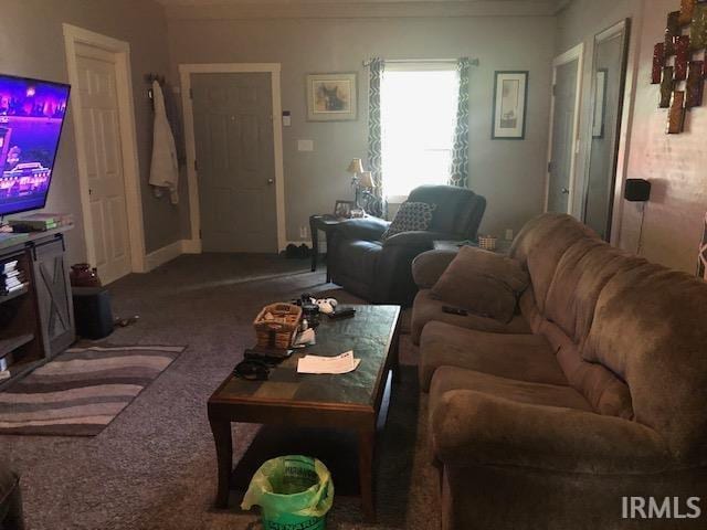 1124 N Maple St, Richland, IN 47634 - living area featuring carpet floors and baseboards