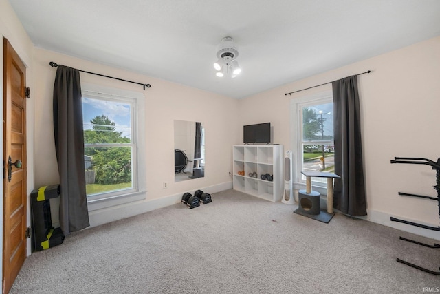 1234 Summit St, New Haven, IN 46774 - workout area with carpet flooring and baseboards
