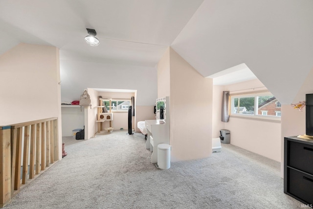 1234 Summit St, New Haven, IN 46774 - bonus room with carpet, healthy amount of natural light, and vaulted ceiling