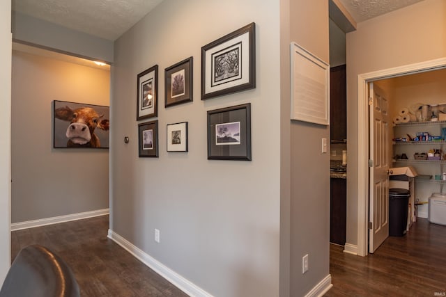 3951 W Nimita Ct, Bloomington, IN 47404 - corridor with dark wood-type flooring and a textured ceiling