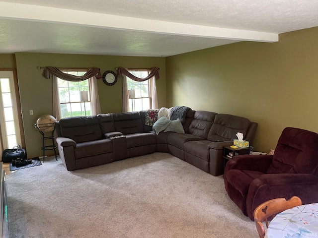 2006 Felix Pl, Plymouth, IN 46563 - living area featuring light carpet and beamed ceiling