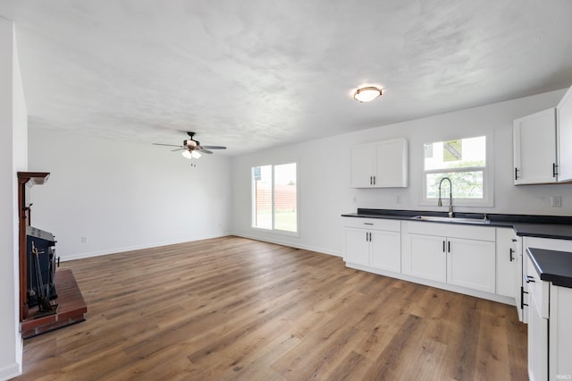 384 Chatham Ct, Union City, IN 47390 - kitchen featuring dark countertops, light wood-style flooring, a ceiling fan, and healthy amount of natural light