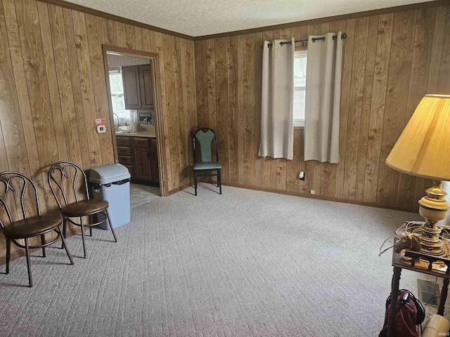 207 E Columbia St, Logansport, IN 46947 - sitting room with wood walls, a textured ceiling, carpet, and ornamental molding