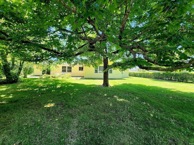 3315 E Paulding Rd, Fort Wayne, IN 46816 - view of grassy yard