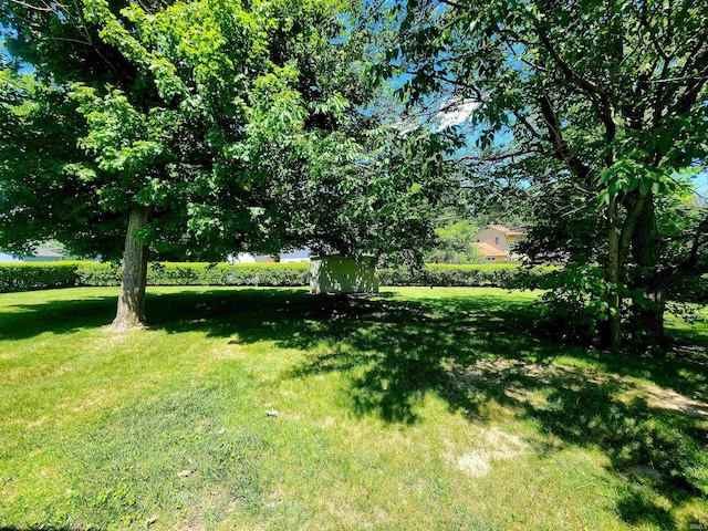 3315 E Paulding Rd, Fort Wayne, IN 46816 - view of green lawn