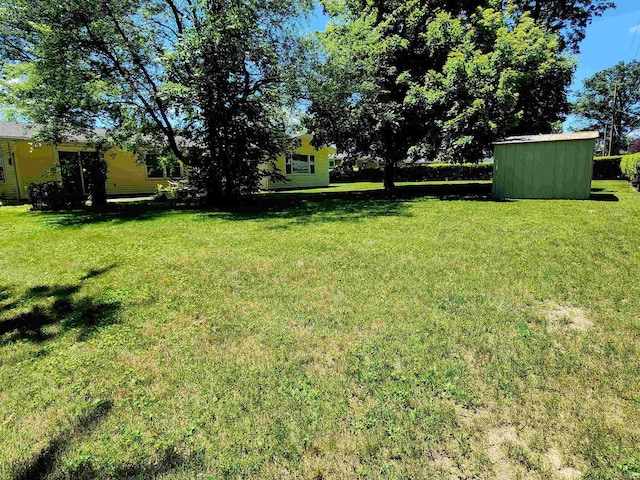 3315 E Paulding Rd, Fort Wayne, IN 46816 - view of green lawn with a shed