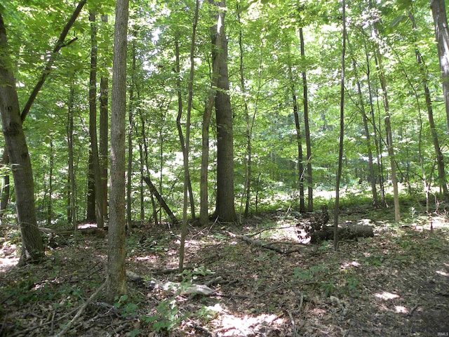 0000 W Coon Path Rd, Spencer, IN 47460
