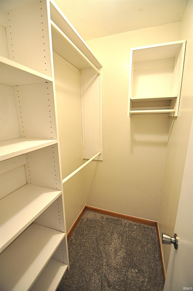 21573 Kern Rd, South Bend, IN 46614 - walk in closet with carpet
