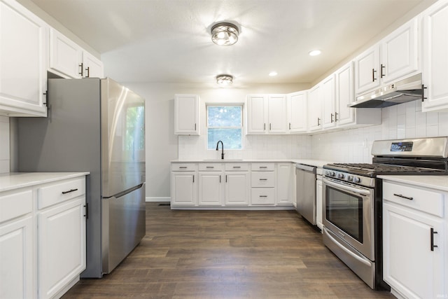 1725 Rainbow Bend Blvd, Elkhart, IN 46514 - kitchen with stainless steel appliances, under cabinet range hood, light countertops, tasteful backsplash, and white cabinetry