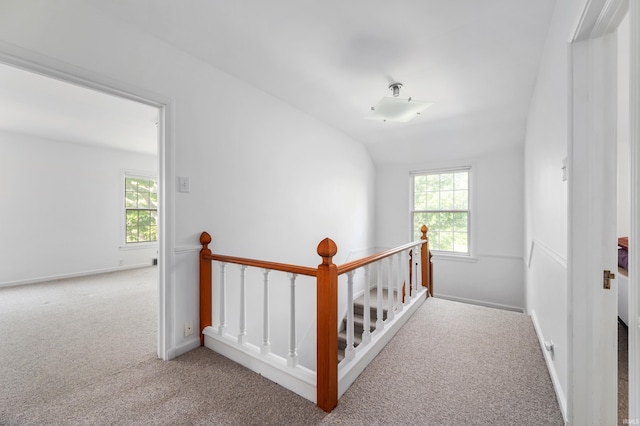 1144 N Warwick Rd, Muncie, IN 47304 - hallway featuring an upstairs landing, carpet, and lofted ceiling