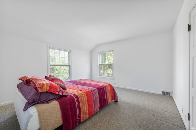 1144 N Warwick Rd, Muncie, IN 47304 - bedroom with carpet flooring and lofted ceiling