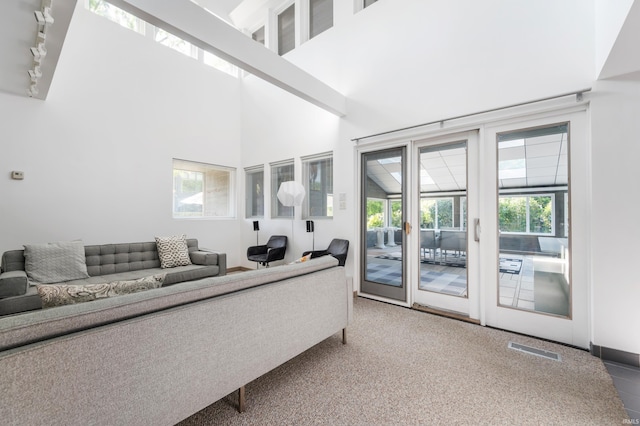 1144 N Warwick Rd, Muncie, IN 47304 - living room with rail lighting, a towering ceiling, and carpet floors