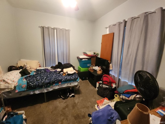 111 W Colfax St, Logansport, IN 46947 - bedroom with carpet floors