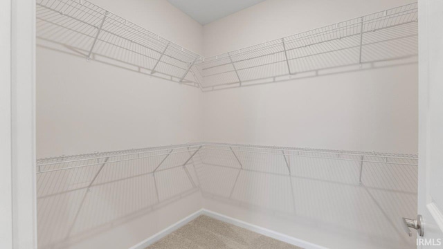 5103 Buffay Ct, New Haven, IN 46774 - walk in closet featuring carpet