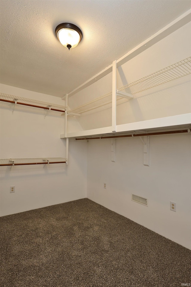1765 E Old Kokomo Rd, Marion, IN 46953 - walk in closet with carpet