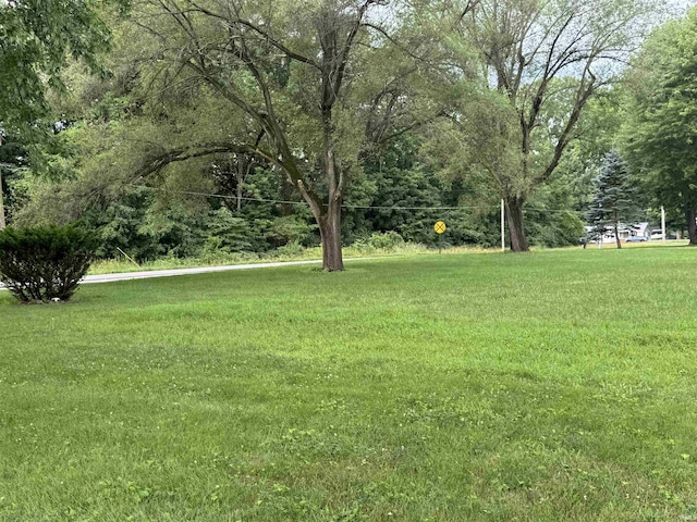1765 E Old Kokomo Rd, Marion, IN 46953 - view of green lawn