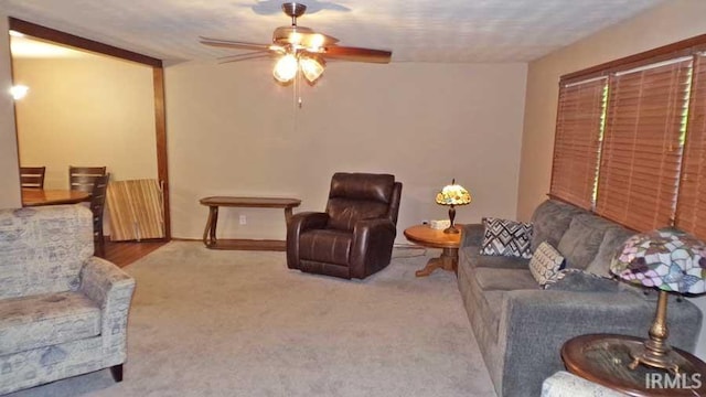 716 Kimmell Rd, Vincennes, IN 47591 - living room with a ceiling fan, carpet, and radiator