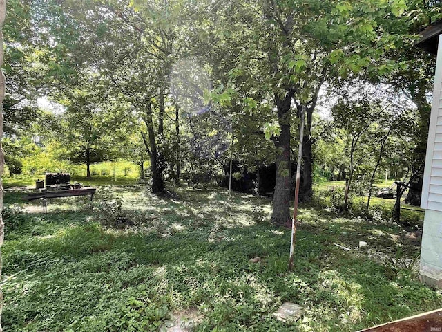 2812 Oliver Rd, Mount Vernon, IN 47620 - view of yard