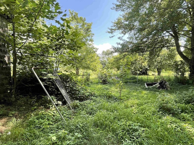 2812 Oliver Rd, Mount Vernon, IN 47620 - view of nature