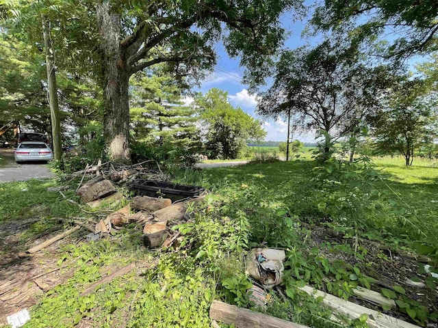 2812 Oliver Rd, Mount Vernon, IN 47620 - view of yard